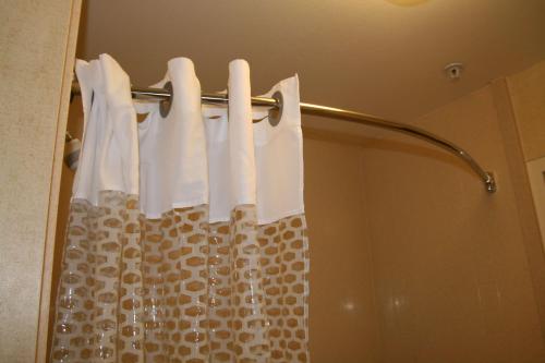 a shower curtain is hanging in a bathroom at Hampton Inn and Suites Barstow in Barstow
