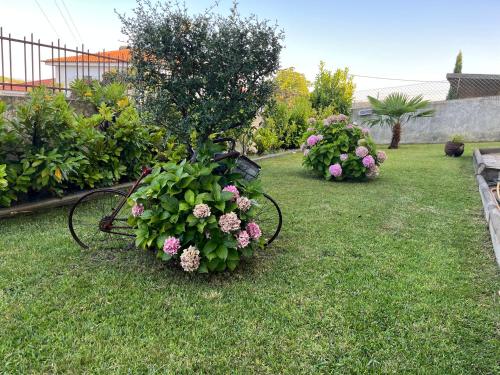 a garden with a bench with flowers in the grass at Alojamento, Chelas Rural AL in Mirandela
