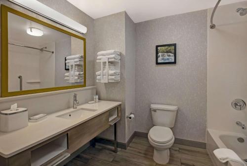 a bathroom with a toilet and a sink and a mirror at Hampton Inn Westfield in Westfield