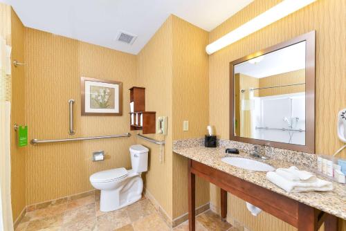 a bathroom with a toilet and a sink and a mirror at Hampton Inn Yorkville in Yorkville