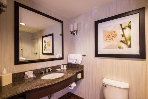 a bathroom with a sink and a mirror and a toilet at Hilton Garden Inn Uniontown in Uniontown