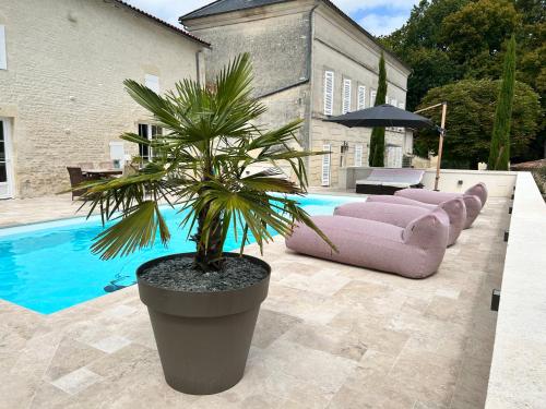 a palm tree in a large pot next to a pool at La part des Anges in Fontenet