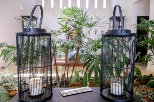 Fotografie z fotogalerie ubytování Bieshu Beach Hive v destinaci Habaraduwa Central