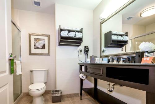 Hampton Inn & Suites Montgomery-Downtown في مونتغومري: حمام مع مرحاض ومغسلة ومرآة