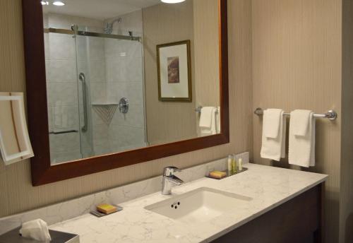 uma casa de banho com um lavatório, um chuveiro e um espelho. em DoubleTree Fallsview Resort & Spa by Hilton - Niagara Falls em Cataratas do Niágara