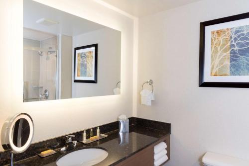 a bathroom with a sink and a mirror at Doubletree by Hilton Pleasant Prairie Kenosha, WI in Pleasant Prairie