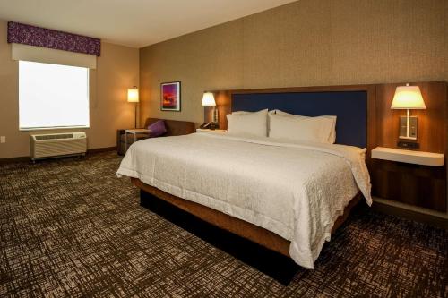a hotel room with a large bed and a window at Hampton Inn & Suites Aurora South, Co in Aurora