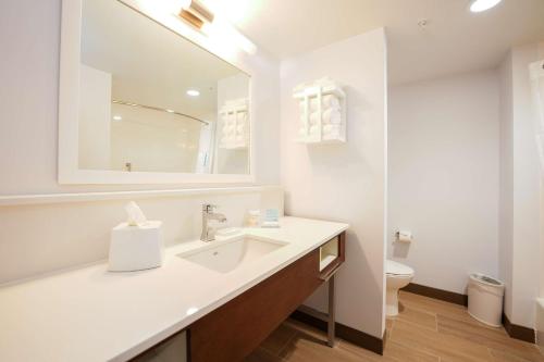 La salle de bains est pourvue d'un lavabo et de toilettes. dans l'établissement Hampton Inn & Suites Aurora South, Co, à Aurora