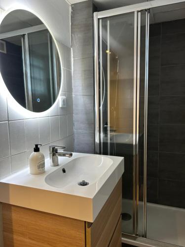 bagno con lavandino, doccia e specchio di Guibert Home : Studio 4 pers a Villeneuve-le-Roi