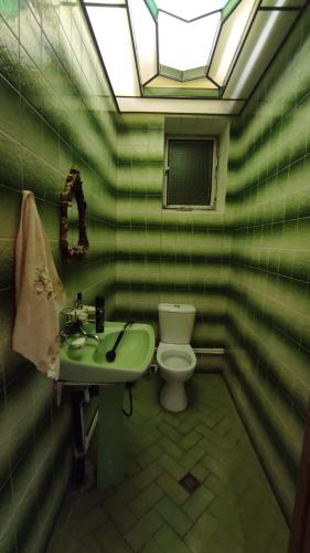 a green bathroom with a toilet and a sink at Гаварский уют in Gavarr