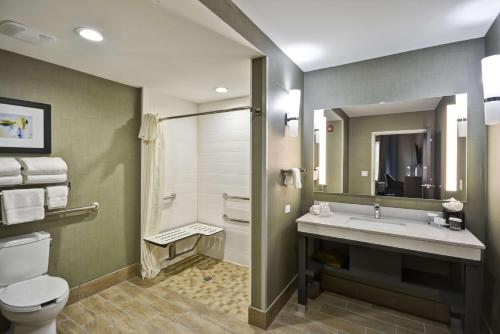 a bathroom with a toilet and a sink and a shower at Homewood Suites by Hilton Orlando Theme Parks in Orlando