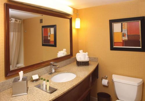 a bathroom with a sink and a mirror and a toilet at DoubleTree by Hilton Hotel Oak Ridge - Knoxville in Oak Ridge