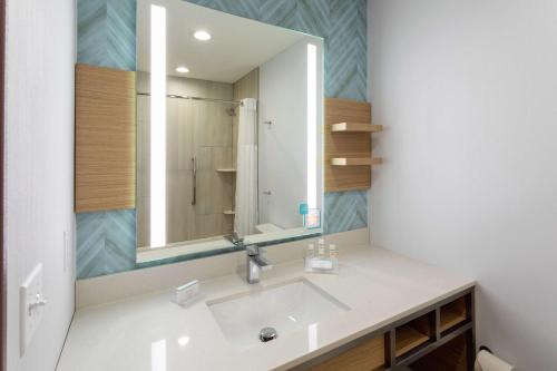 uma casa de banho com um lavatório e um espelho em Hilton Garden Inn St. Cloud, Mn em Waite Park