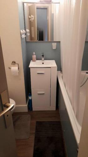 une salle de bain avec un lavabo, des toilettes et un miroir dans l'établissement Studio 237 Port Camargue, Piscine, Climatisation, 2 personnes, au Grau-du-Roi