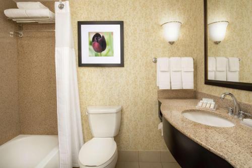Hilton Garden Inn Frederick في فريدريك: حمام مع مرحاض ومغسلة وحوض استحمام