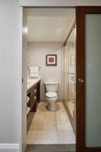 Ένα μπάνιο στο DoubleTree by Hilton Torrance - South Bay
