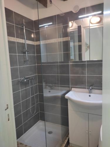 La salle de bains est pourvue d'une douche et d'un lavabo. dans l'établissement Les Glycines, à Vulaines-sur-Seine