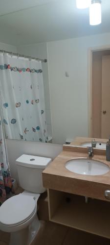 a bathroom with a toilet and a sink and a shower curtain at Laguna Bahia Algarrobo in Algarrobo