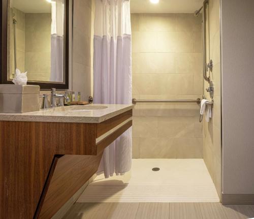 La salle de bains est pourvue d'un lavabo et d'une douche. dans l'établissement DoubleTree by Hilton Pittsburgh-Green Tree, à Pittsburgh