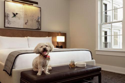 Ein Bett oder Betten in einem Zimmer der Unterkunft The Harpeth Franklin Downtown, Curio Collection by Hilton