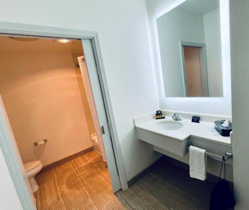 La salle de bains est pourvue d'un lavabo et d'un miroir. dans l'établissement University Park Inn & Suites, à Davis