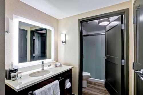 La salle de bains est pourvue d'un lavabo, d'un miroir et de toilettes. dans l'établissement Homewood Suites by Hilton Boston Brookline-Longwood Medical, à Brookline