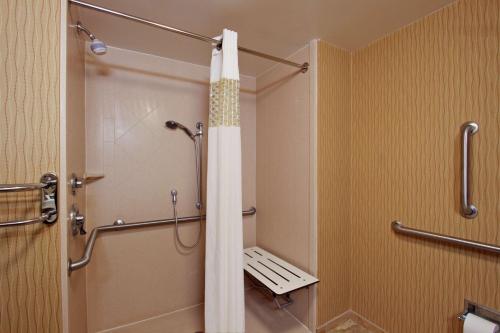 a bathroom with a shower with a shower curtain at Hampton Inn & Suites Exmore - Eastern Shore in Exmore