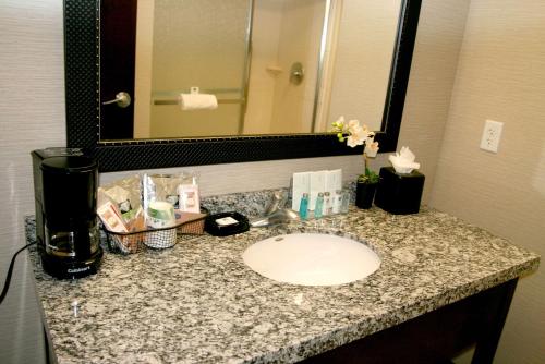 a bathroom counter with a sink and a mirror at Hampton Inn & Suites Salt Lake City-University/Foothill Drive in Salt Lake City