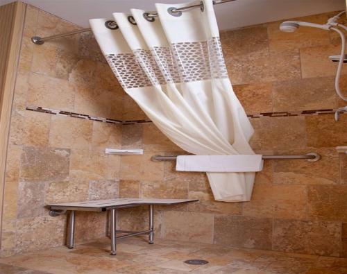 La salle de bains est pourvue d'une douche avec rideau de douche. dans l'établissement Hampton Inn & Suites Dickinson ND, à Dickinson