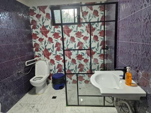 a bathroom with a toilet and a sink at Casa Iuliana in Horezu