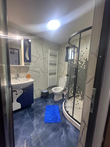 a bathroom with a shower and a toilet and a sink at Casa Iuliana in Horezu