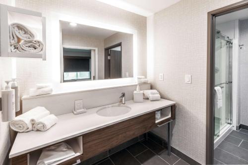 La salle de bains est pourvue d'un lavabo et d'un miroir. dans l'établissement Hampton Inn & Suites Canyon, Tx, à Canyon