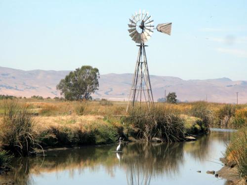 a windmill and a duck in a river at Hampton Inn & Suites Suisun City Waterfront in Suisun City