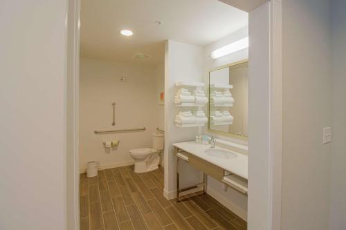 a bathroom with a sink and a toilet and a mirror at Hampton Inn Crestview South I-10, Fl in Crestview