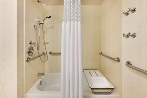 a bathroom with a shower curtain and a toilet at Hampton Inn Columbia-Downtown Historic District in Columbia