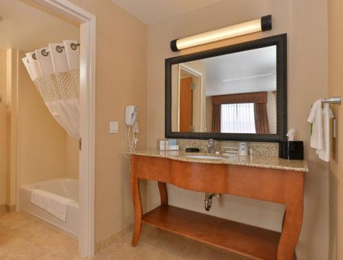 Hampton Inn & Suites Buffalo في بوفالو: حمام مع حوض ومرآة