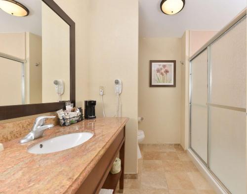 a bathroom with a sink and a shower at Hampton Inn Clinton in Clinton