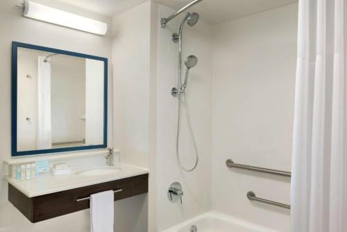 een badkamer met een douche, een wastafel en een spiegel bij Hampton Inn West Des Moines Lake Drive in West Des Moines