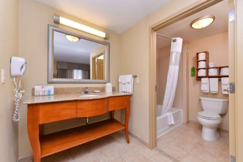 a bathroom with a sink and a toilet and a mirror at Hampton Inn Evanston in Evanston