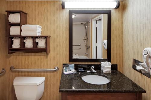 a bathroom with a sink and a toilet and a mirror at Hampton Inn Myrtle Beach Broadway at the Beach in Myrtle Beach