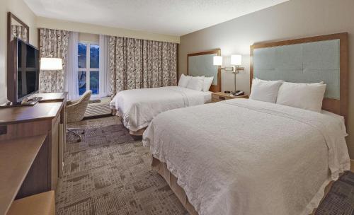 a hotel room with two beds and a television at Hampton Inn Myrtle Beach Broadway at the Beach in Myrtle Beach