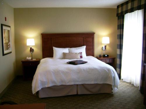 Postel nebo postele na pokoji v ubytování Hampton Inn & Suites Paducah