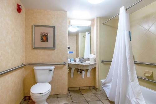 een badkamer met een toilet en een wastafel bij Hampton Inn Pine Grove in Pine Grove