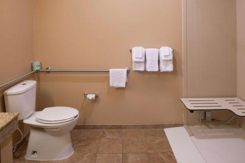 a bathroom with a toilet and towels on the wall at Hampton Inn & Suites Rifle in Rifle