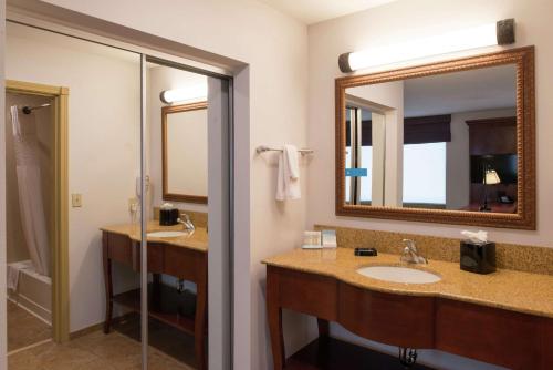 a bathroom with a sink and a mirror at Hampton Inn & Suites Rifle in Rifle