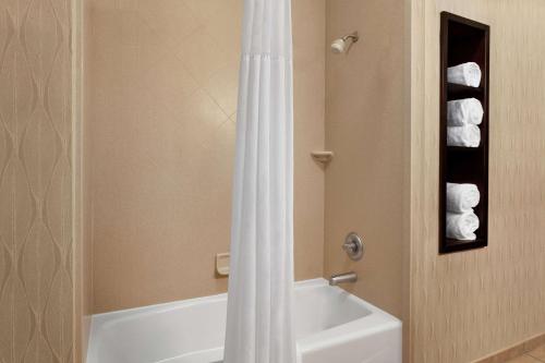 Ένα μπάνιο στο Hampton Inn Sulphur Springs