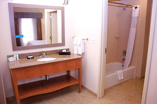 a bathroom with a sink and a tub and a mirror at Hampton Inn Sidney in Sidney