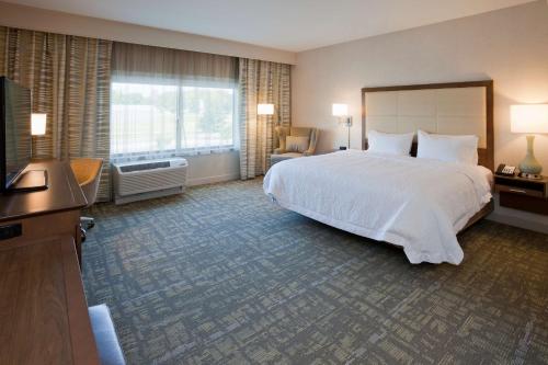 Cette chambre comprend un grand lit et une télévision. dans l'établissement Hampton Inn Spicer Green Lake, MN, à Spicer