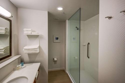 a bathroom with a glass shower and a sink at Hampton Inn Plant City in Plant City