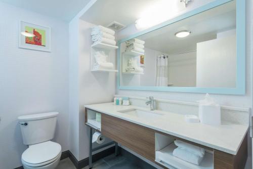 La salle de bains est pourvue de toilettes et d'un lavabo avec miroir. dans l'établissement Hampton Inn Tampa-Veterans Expressway, à Tampa
